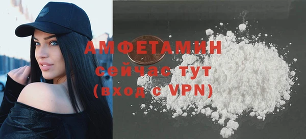 дживик Мегион