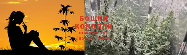 ПСИЛОЦИБИНОВЫЕ ГРИБЫ Медногорск
