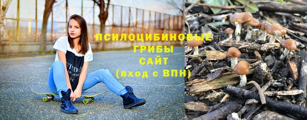 первитин Медвежьегорск