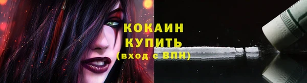 ПСИЛОЦИБИНОВЫЕ ГРИБЫ Медногорск