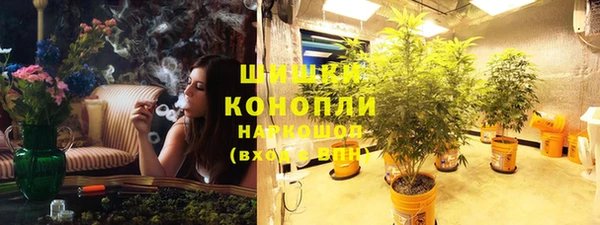 ПСИЛОЦИБИНОВЫЕ ГРИБЫ Медногорск
