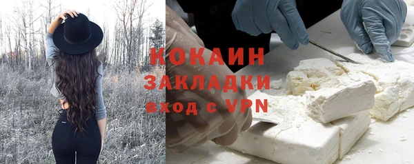 дживик Мегион