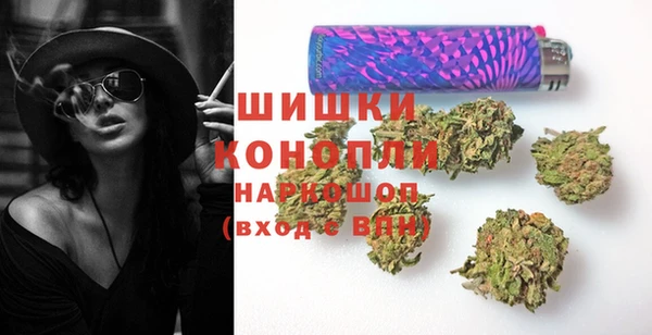 дживик Мегион